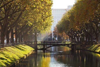 Das Bild zeigt einen Fluss in einem Park in Dusseldorf mit einer Brucke und umgeben von Baumen. Es fangt die Herbstlandschaft mit Spiegelungen im Wasser ein.
