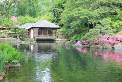 Kleines Haus an einem Teich in Kaiserslautern, umgeben von viel Grün